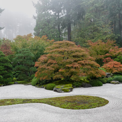 Japanese Garden, Oct.24, 2024