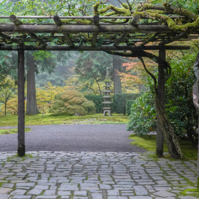 Japanese Garden, Oct.24, 2024