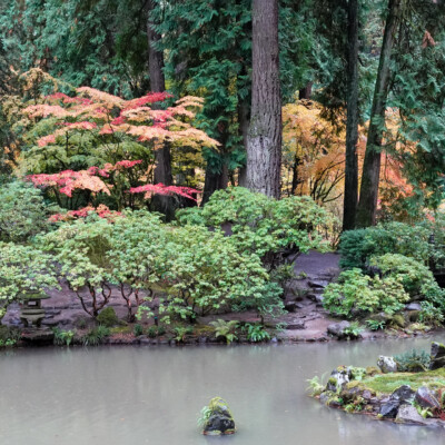 Japanese Garden, Oct.31, 2024