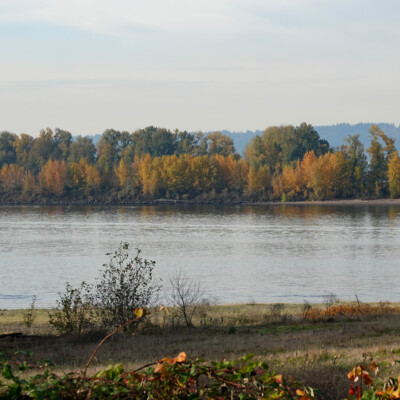 Looking across the Columbia River from the Vancouver Lake Lowlands, Fall, 2024. Looking across the Columbia River.