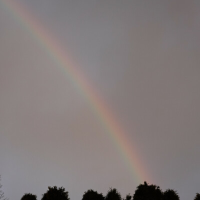 An early morning rainbow in our backyard, before heading to the Oregon Coast.