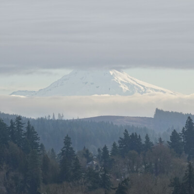 Mt. Hood between layers of clouds, from Camassia Nature Preserve.