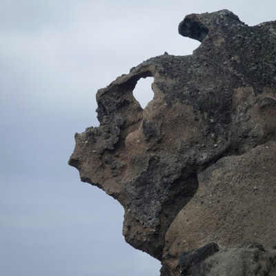 Natural shoreline sculpture