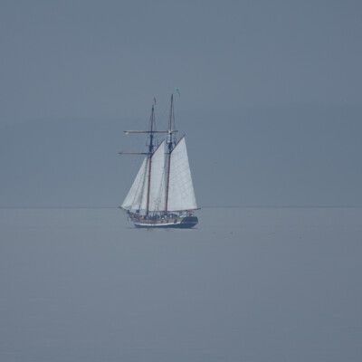 Wooden ship in the distance, from the ferry returning from Victoria to Port Angeles
