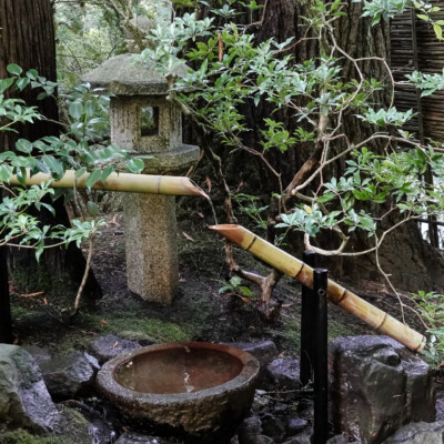 Japanese Garden, Fall 2025