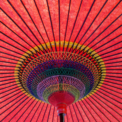 Under a parasol on a sunny morning, Japanese Garden, Fall 2025