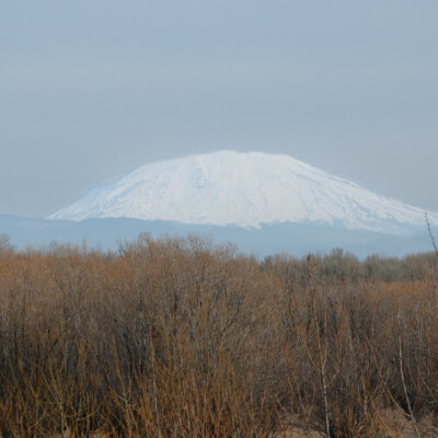 Mt. St. Helens, from Sauvie Island