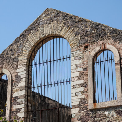 A tenacious cactus at the Rayas mine site