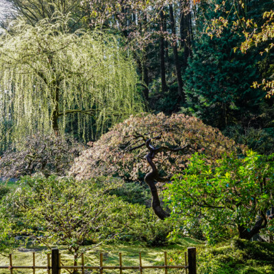Spring morning sunlight