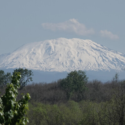 Mt. St. Helens, from Sauvie Island, Spring 2026 Mt. St. Helens, from Sauvie Island